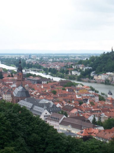 View of the Rhine and Heidelberg