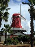Aruba windmilll